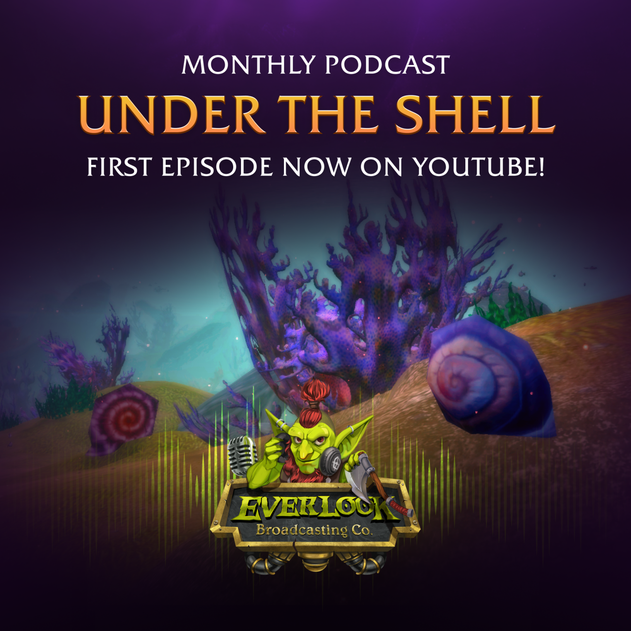 A Look Under the Shell